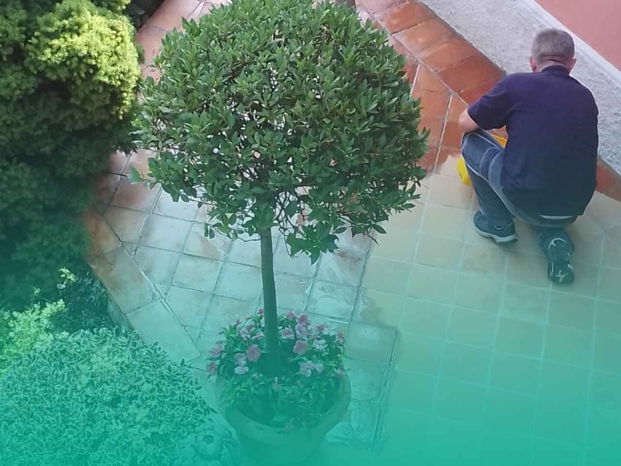 Pulizia Cortili e Terrazzi Esterni | Splendor