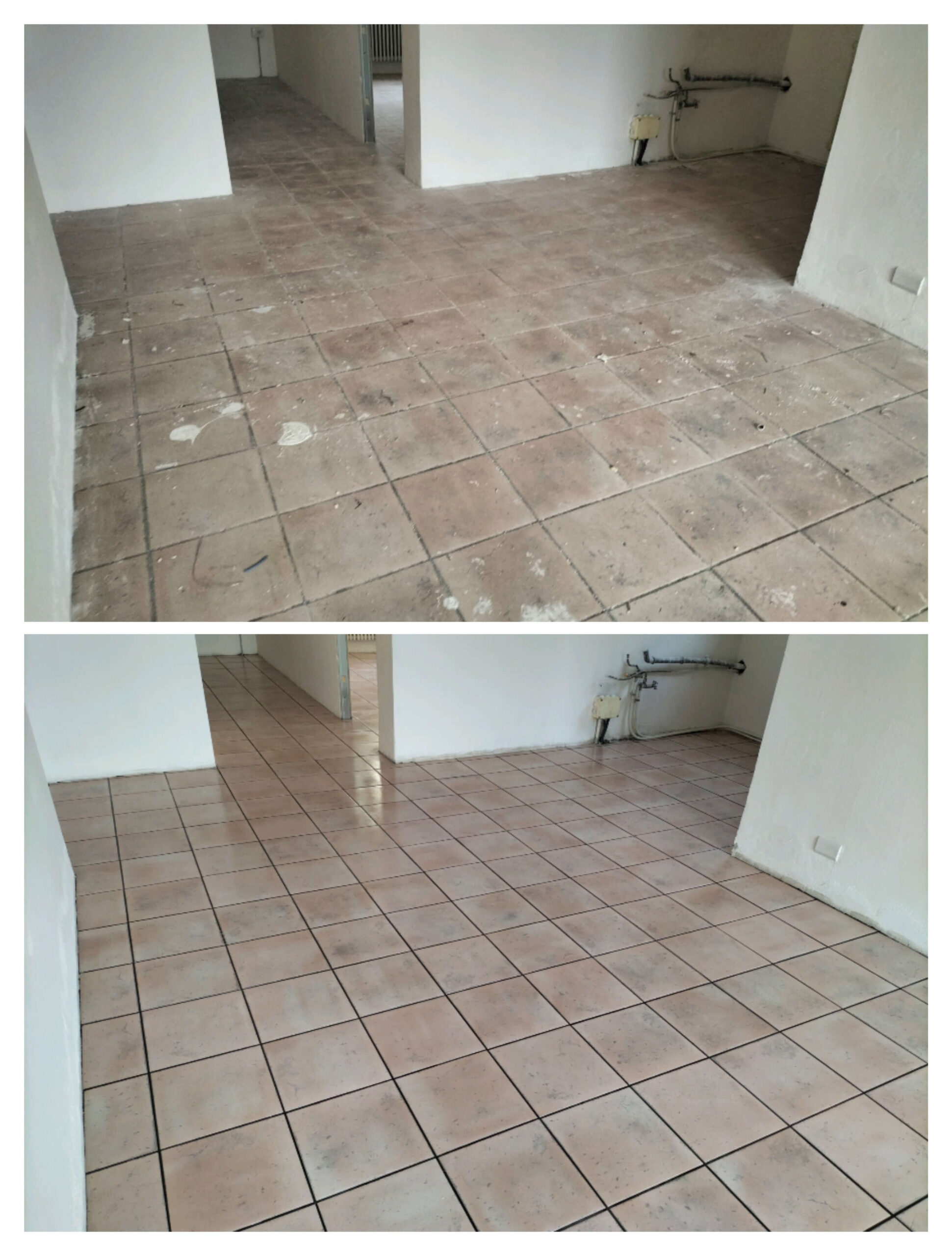 SPLENDOR - IMPRESA DI PULIZIE DAL 1957 7